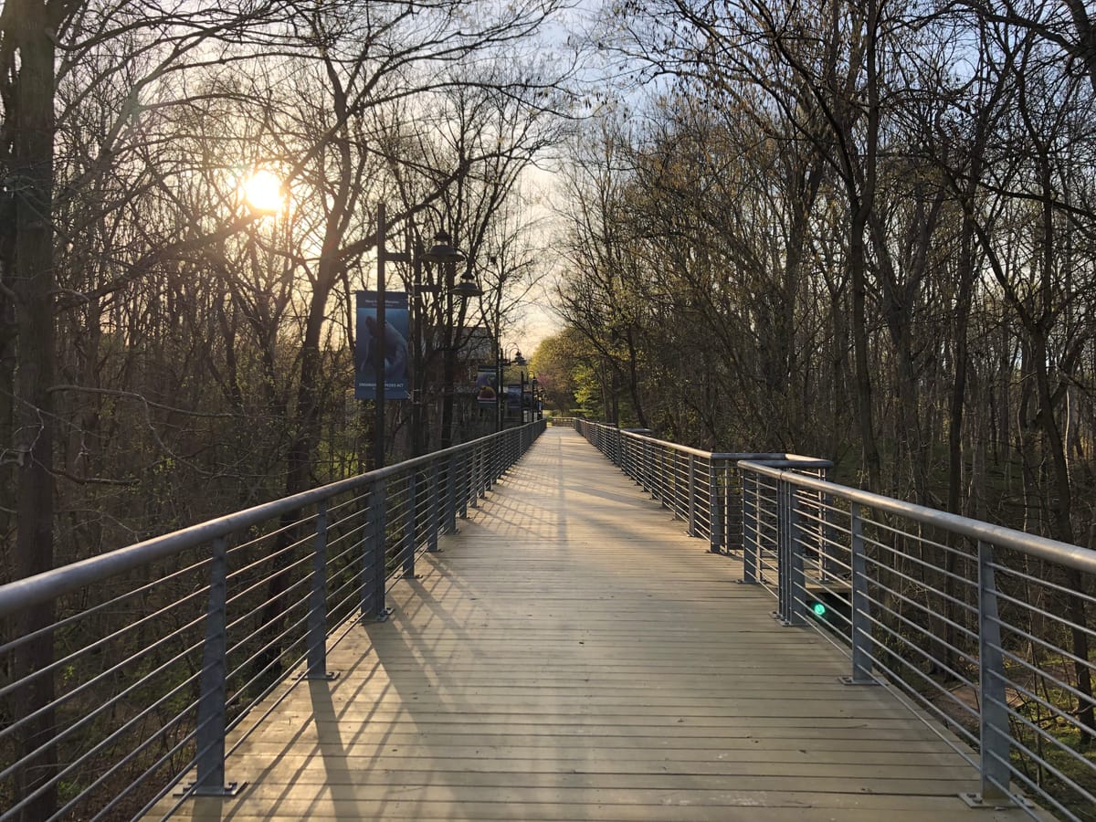 The Mantle Of Responsibility