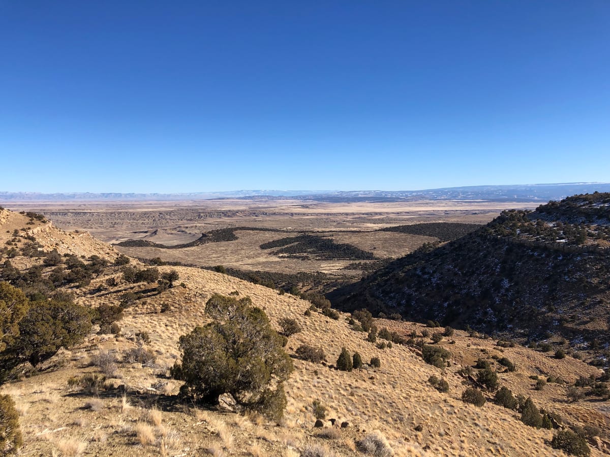 The One-Armed Cowboy(s?)