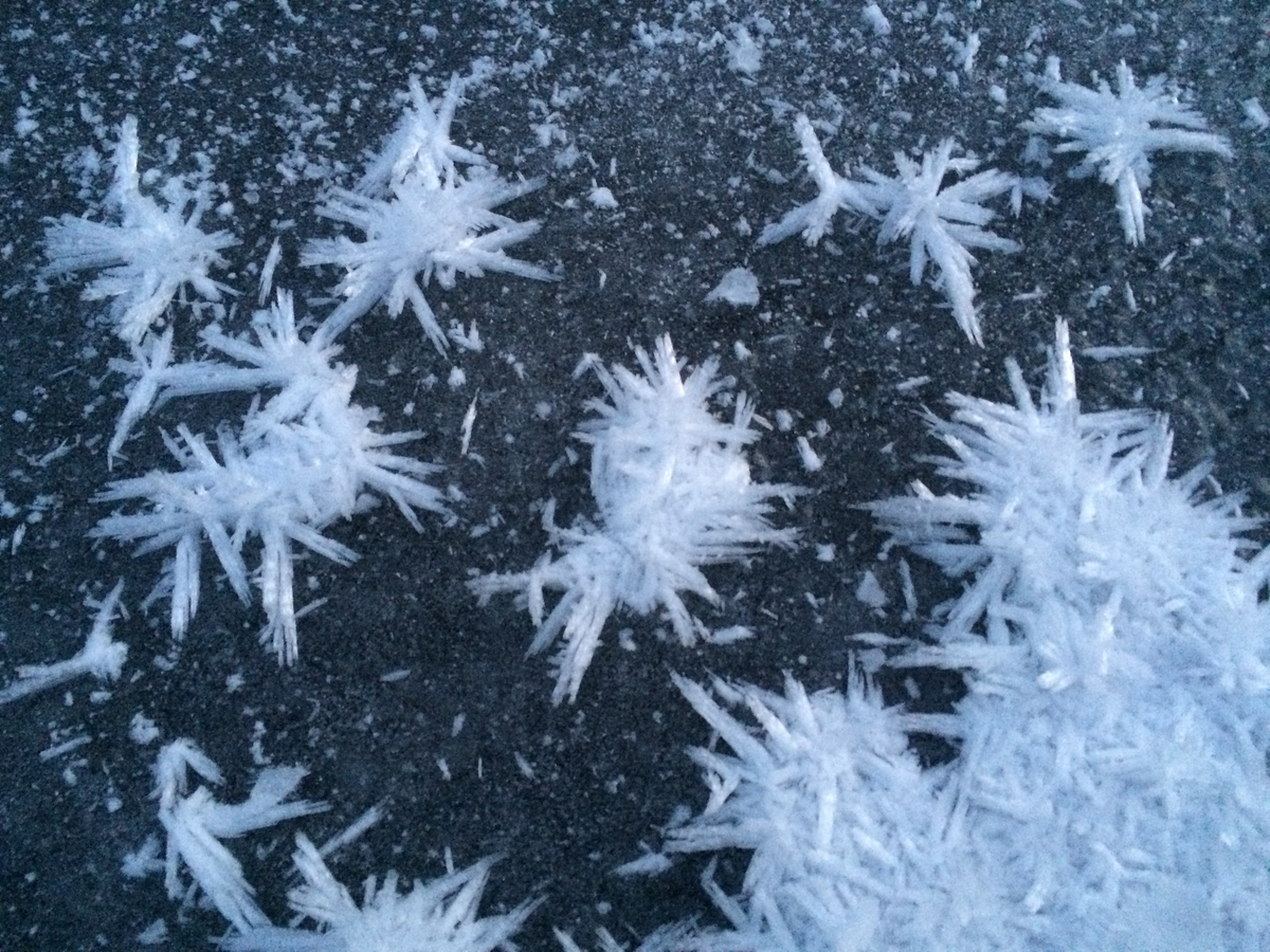 Jesus Take The Wheel