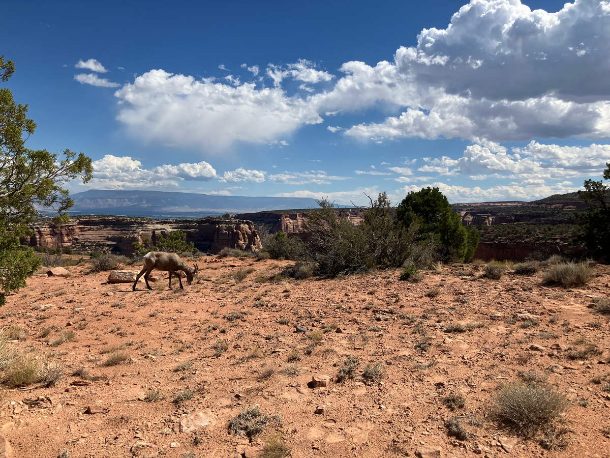 Follow Up: Hair Cuts