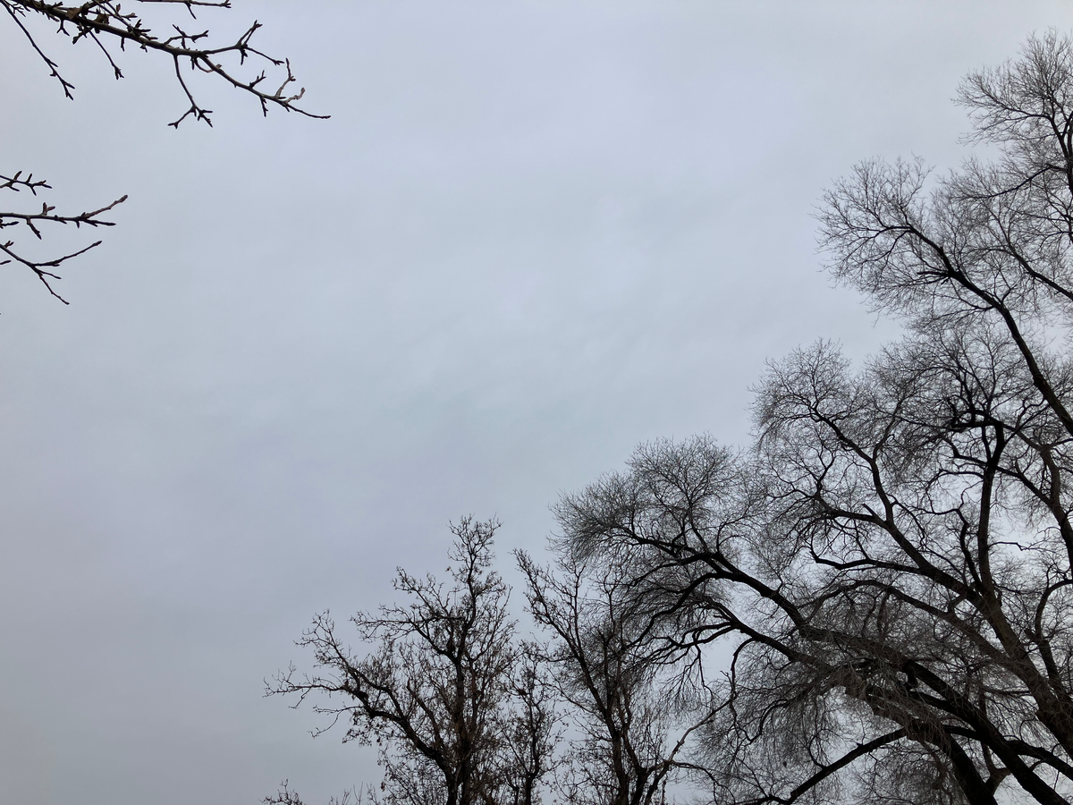 Short Horror for Short Horrible Month