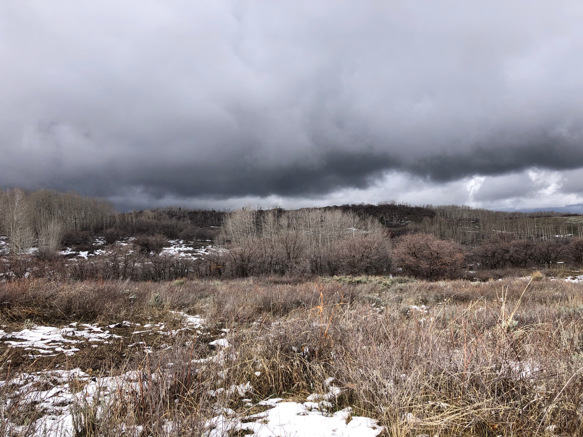 There is a Way to Make this Weirder... And You Did It.