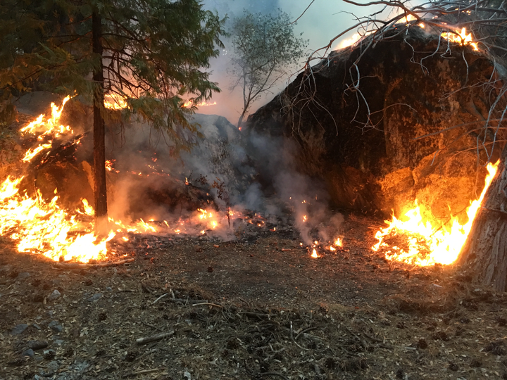 I'm No Mathematician but...