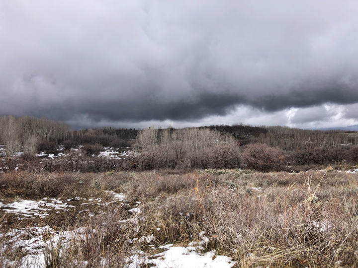 There is a Way to Make this Weirder... And You Did It.